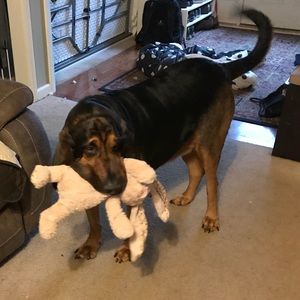 Meet your Posher, Mary